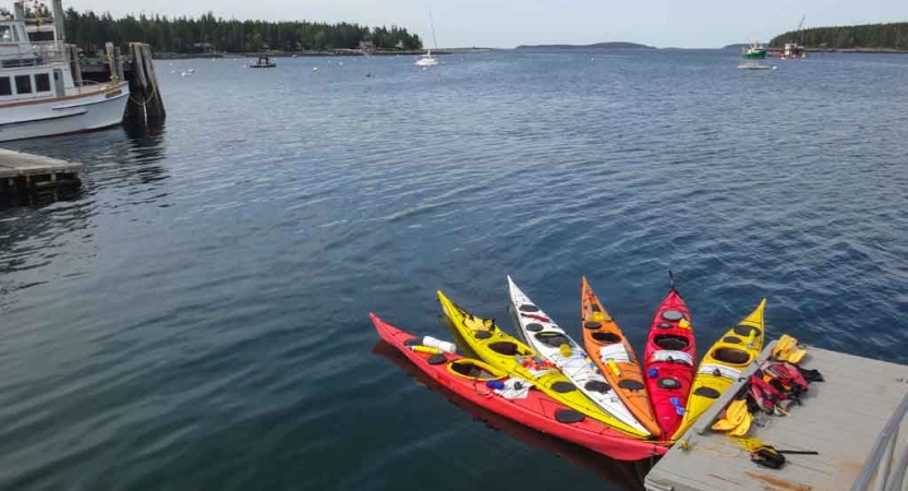 Colorful kayaks are anchored to a dock on calm water. 